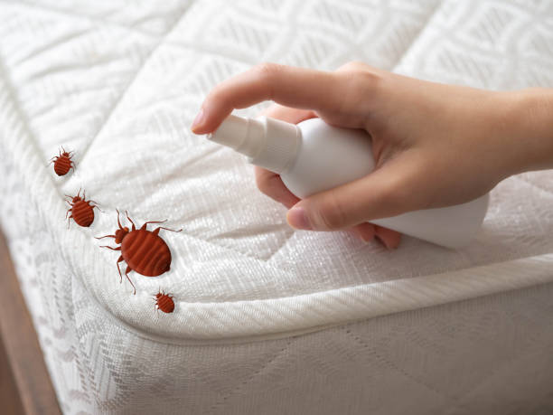 Best Indoor Pest Control  in Womelsdorf, PA